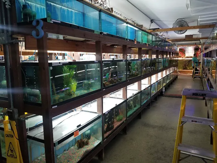 Forest Lake Pets Picture 4