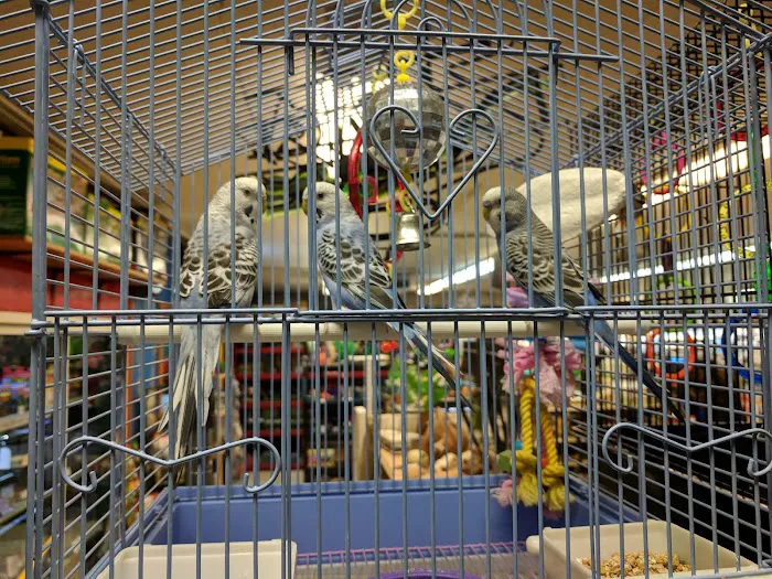 Forest Lake Pets Picture 8