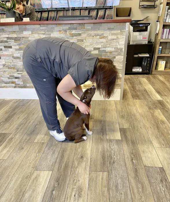 Holmdel Veterinary Clinic Picture 5