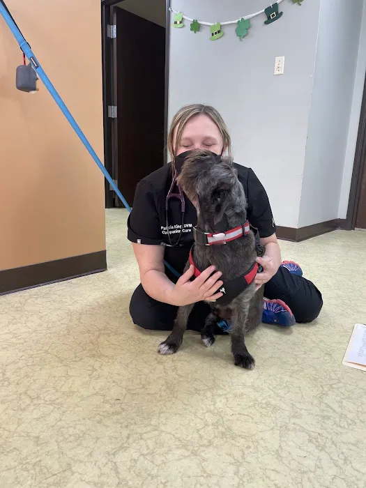 Companion Care Animal Clinic Picture 8