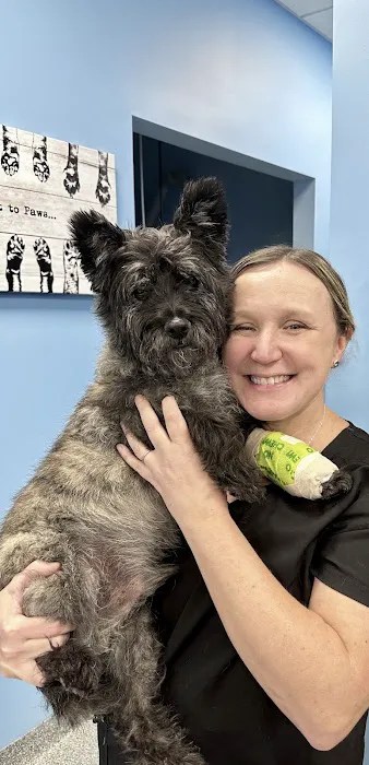 Companion Care Animal Clinic Picture 3