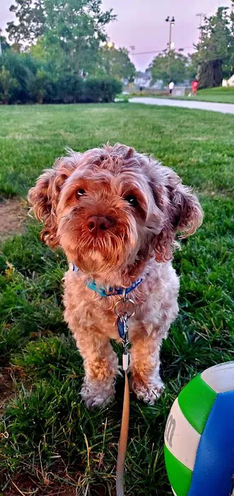 Banfield Pet Hospital Picture 3