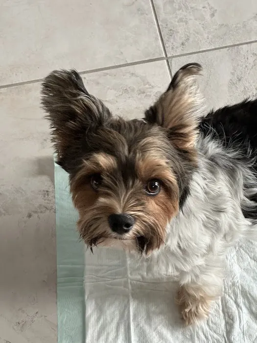 Banfield Pet Hospital Picture 2