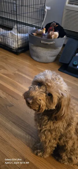 Banfield Pet Hospital Picture 5