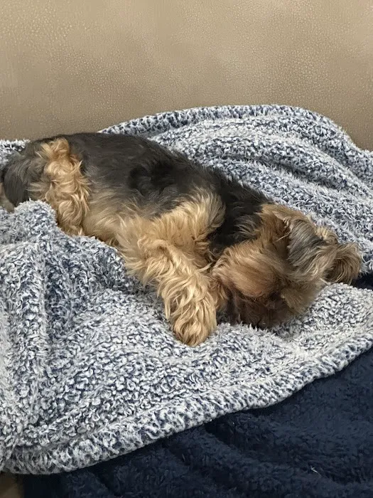 Banfield Pet Hospital Picture 1