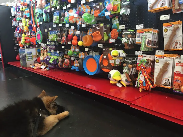 Chuck & Don's Pet Food & Supplies Picture 8