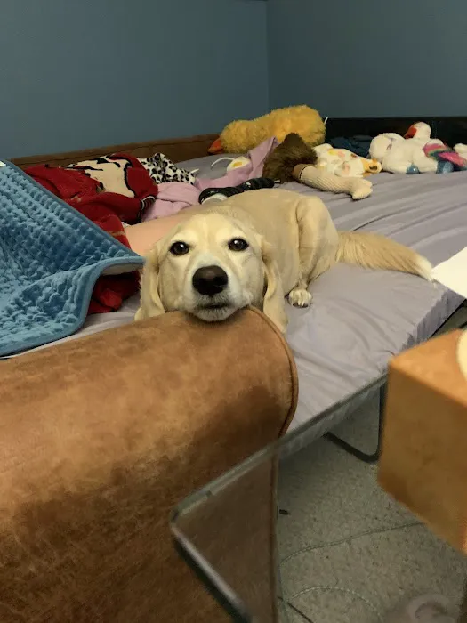 Town & Country Veterinary Services Picture 3