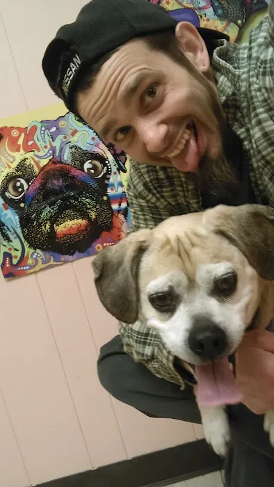 Town & Country Veterinary Services Picture 6