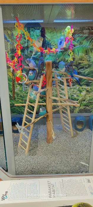 Petco Picture 2