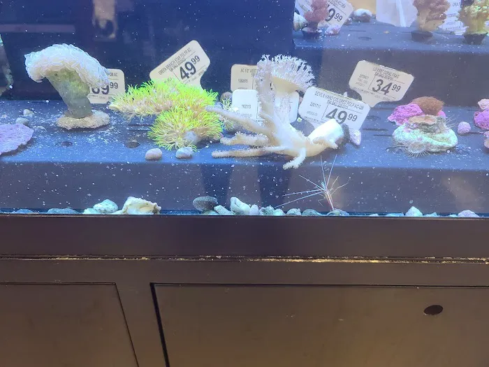 Petco Picture 5