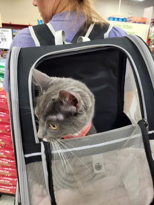 Petco Picture 8