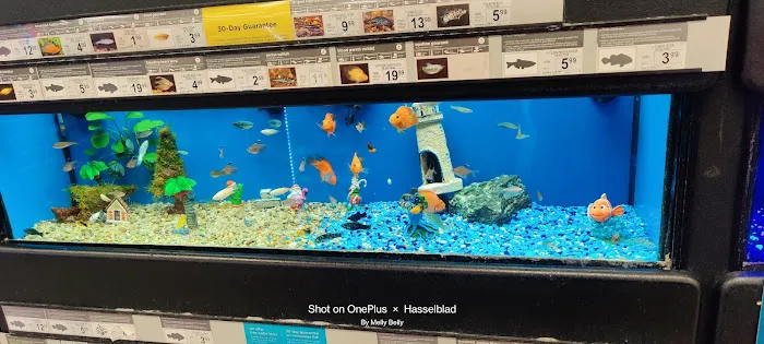 Petco Picture 7