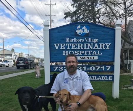 Marlboro Village Veterinary Hospital of Marlboro and Aberdeen, 