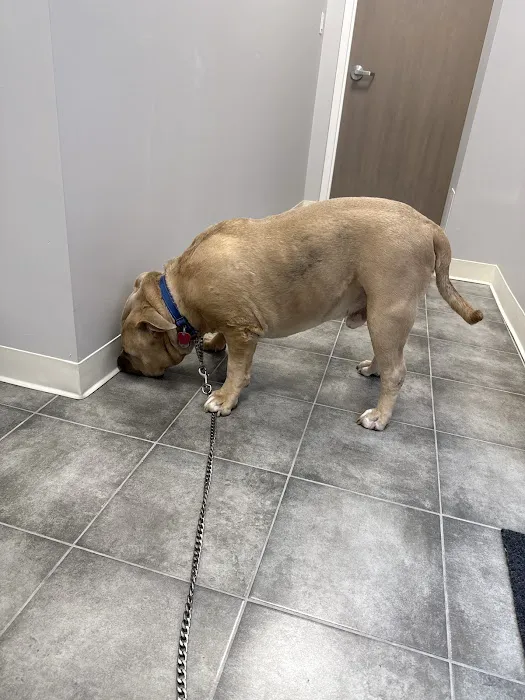 Monroe Parke Veterinary Hospital Picture 1