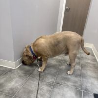 Monroe Parke Veterinary Hospital ico
