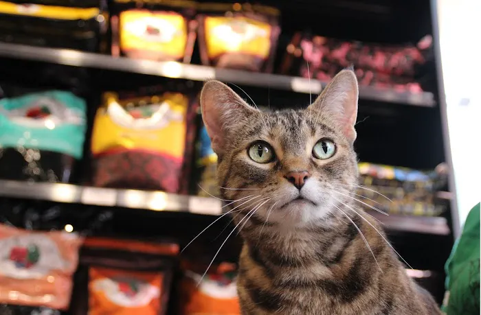 Chuck & Don's Pet Food & Supplies Picture 10