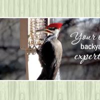 All Seasons Wild Bird Store ico