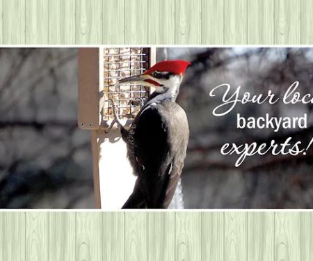 All Seasons Wild Bird Store