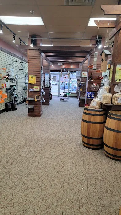 All Seasons Wild Bird Store Picture 2