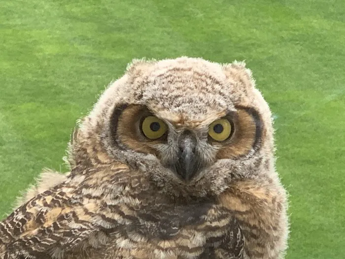 All Seasons Wild Bird Store Picture 4