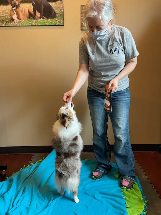 Animal Intuition Picture 9