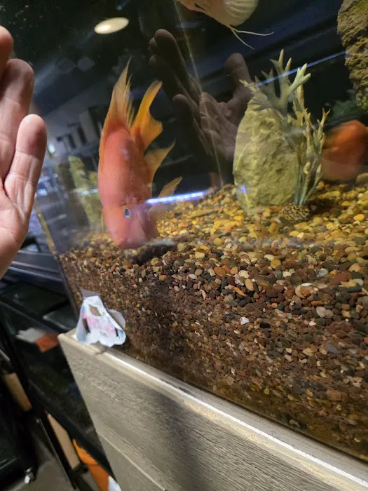 Aqualand Aquarium Center Picture 6