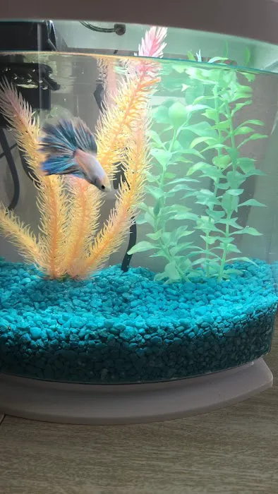 Aqualand Aquarium Center Picture 4