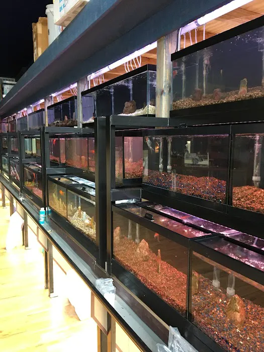 Aqualand Aquarium Center Picture 8