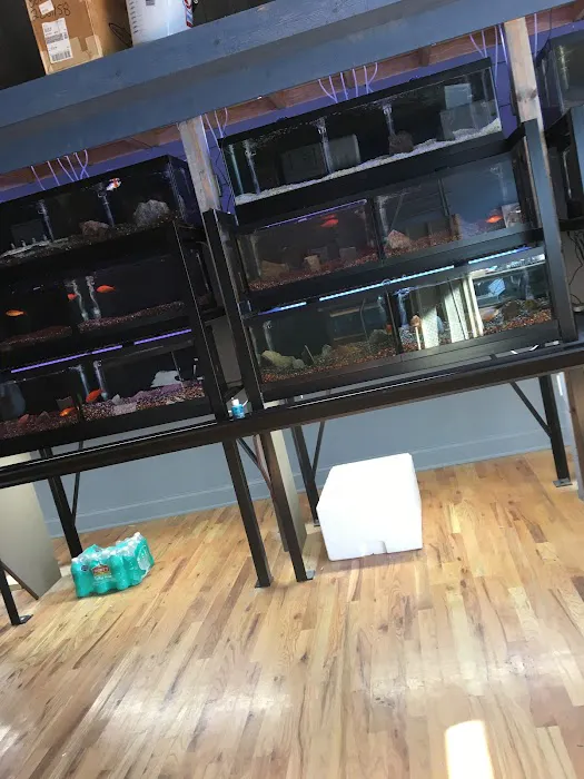 Aqualand Aquarium Center Picture 9