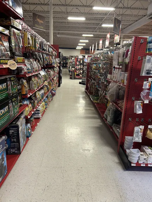 Petco Picture 4