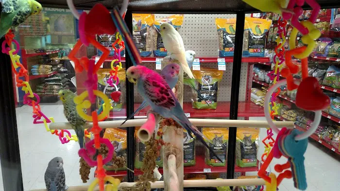 Petco Picture 3