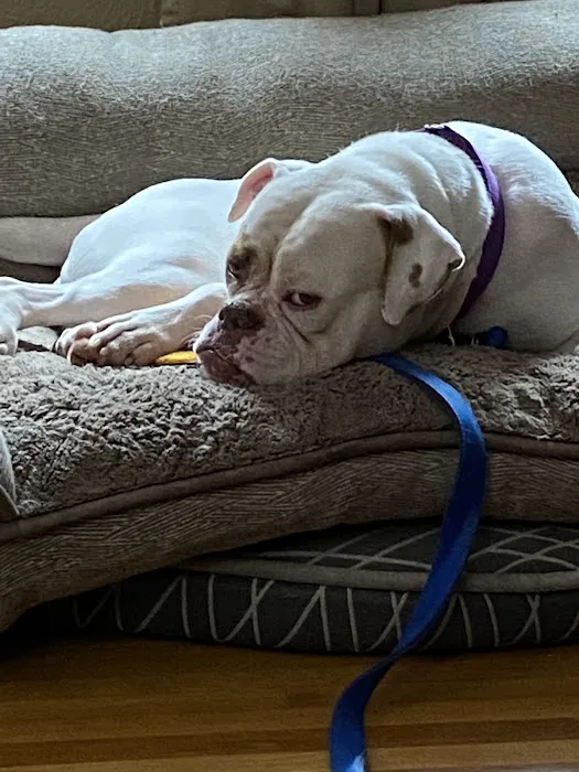 Chuck & Don's Pet Food & Supplies Picture 3