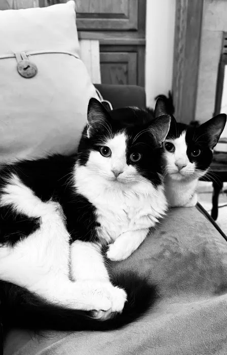 Chuck & Don's Pet Food & Supplies Picture 9