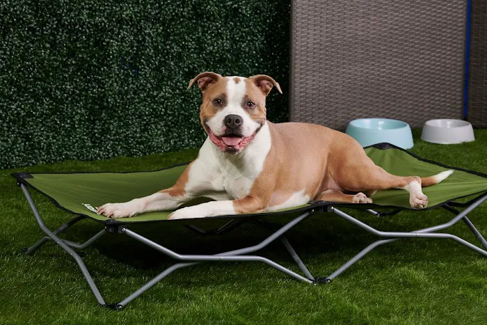 Carlson Pet Products Picture 7