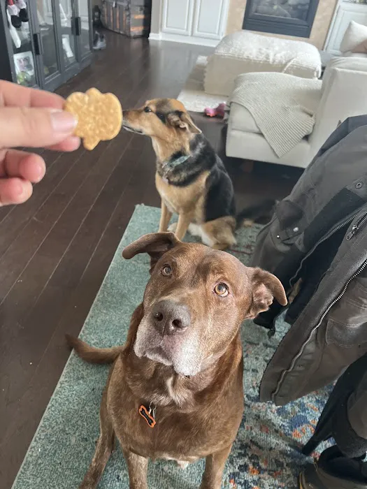 Maci Moo Treats Picture 4