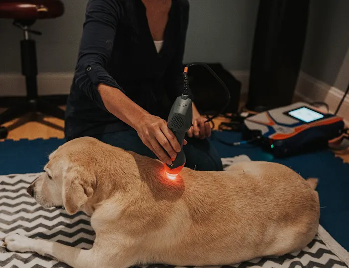 Copper Moon Veterinary Wellness Picture 1