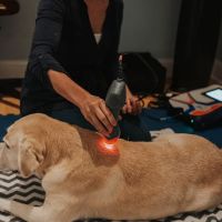 Copper Moon Veterinary Wellness ico