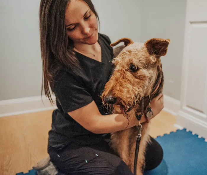 Copper Moon Veterinary Wellness Picture 4