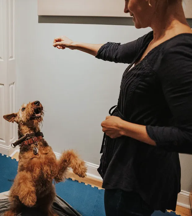 Copper Moon Veterinary Wellness Picture 7