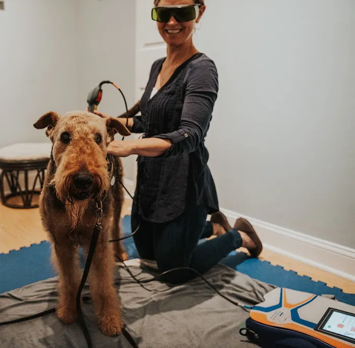 Copper Moon Veterinary Wellness Picture 3