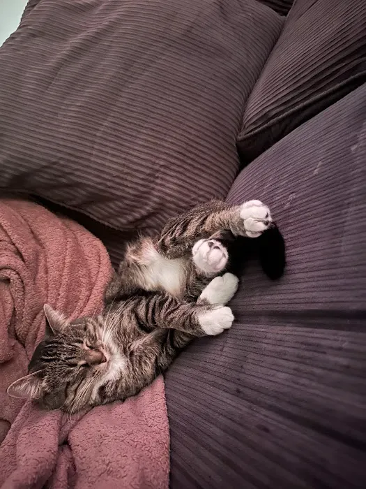 Chuck & Don's Pet Food & Supplies Picture 9