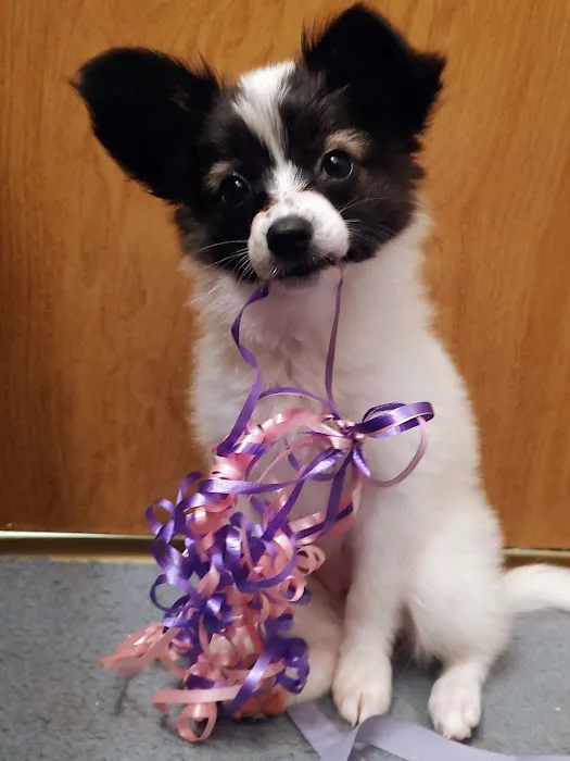Jamesburg Veterinary Hospital Picture 4