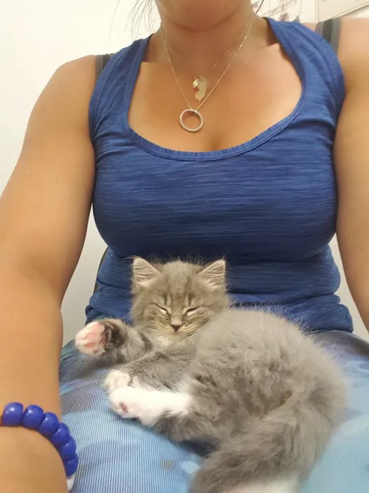 Jamesburg Veterinary Hospital Picture 8