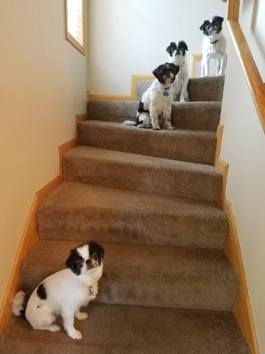 Chuck & Don's Pet Food & Supplies Picture 1