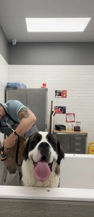 Chuck & Don's Pet Food & Supplies Picture 5