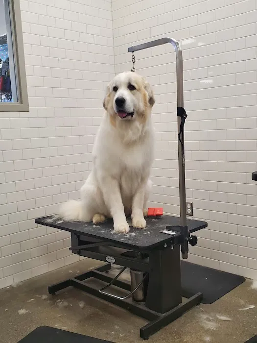 Chuck & Don's Pet Food & Supplies Picture 3