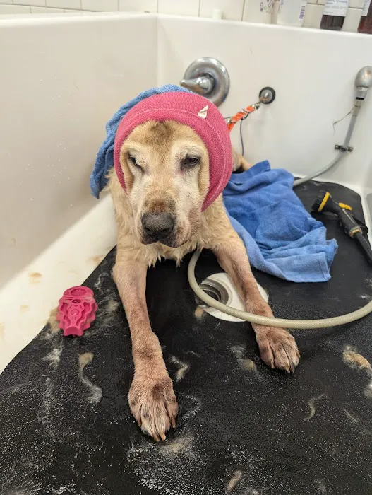 Chuck & Don's Pet Food & Supplies Picture 2