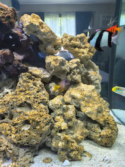 MN Aquatics Picture 5