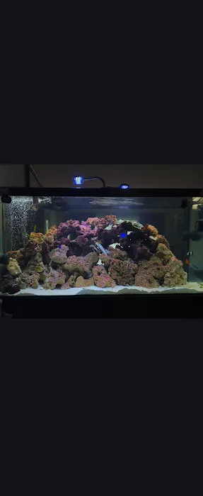 MN Aquatics Picture 7