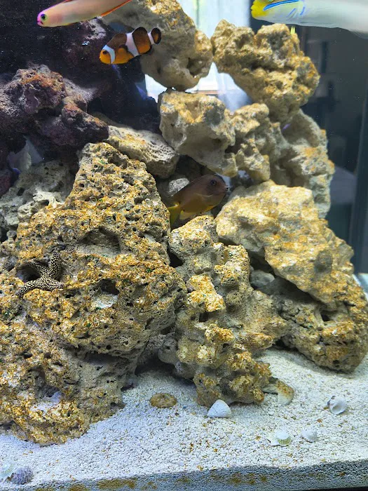 MN Aquatics Picture 9